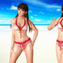 DoA5 LeiFang hotties Bikini