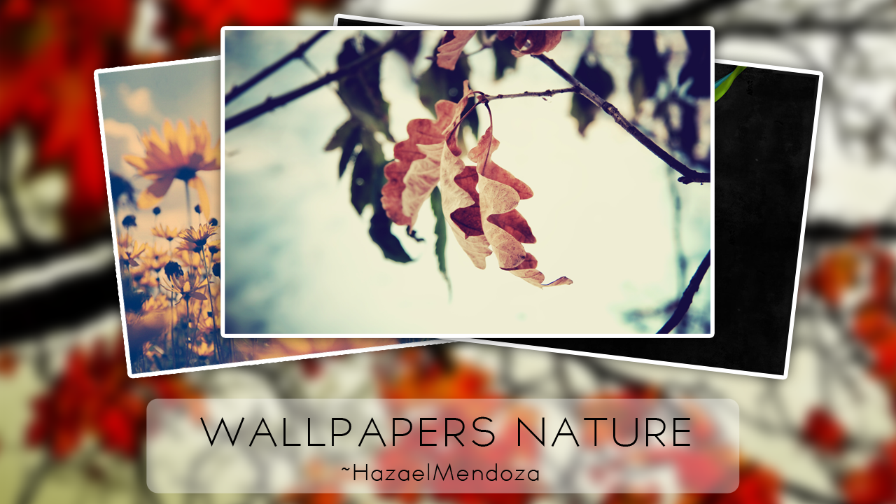 Wallpapers Nature