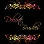 Delicate brushes