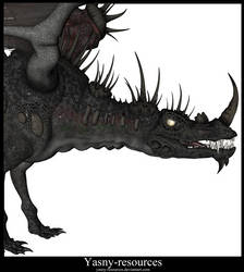 Dragon 01