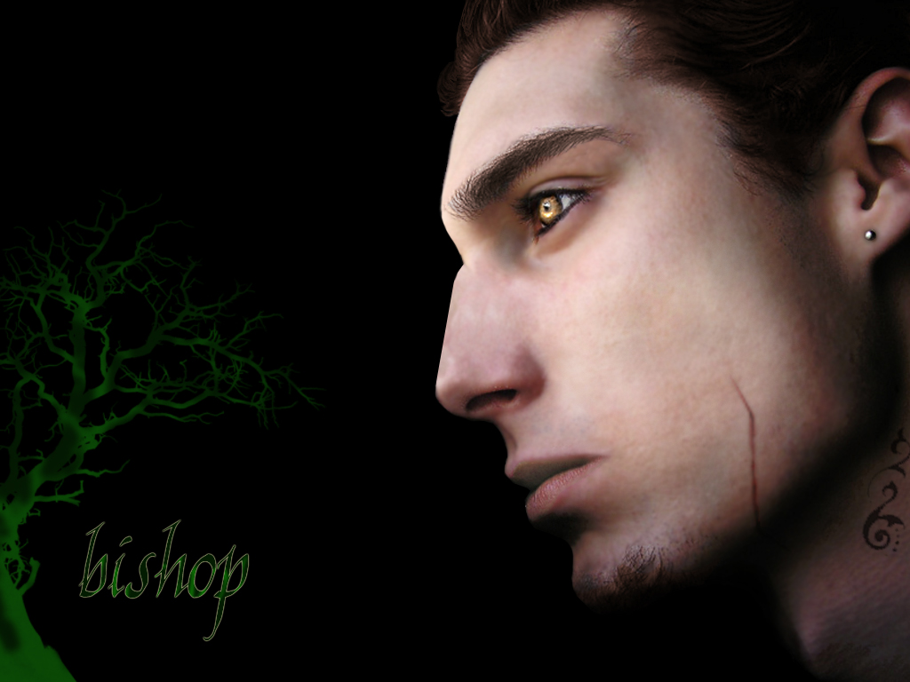 Bishop - Neverwinter Nights 2