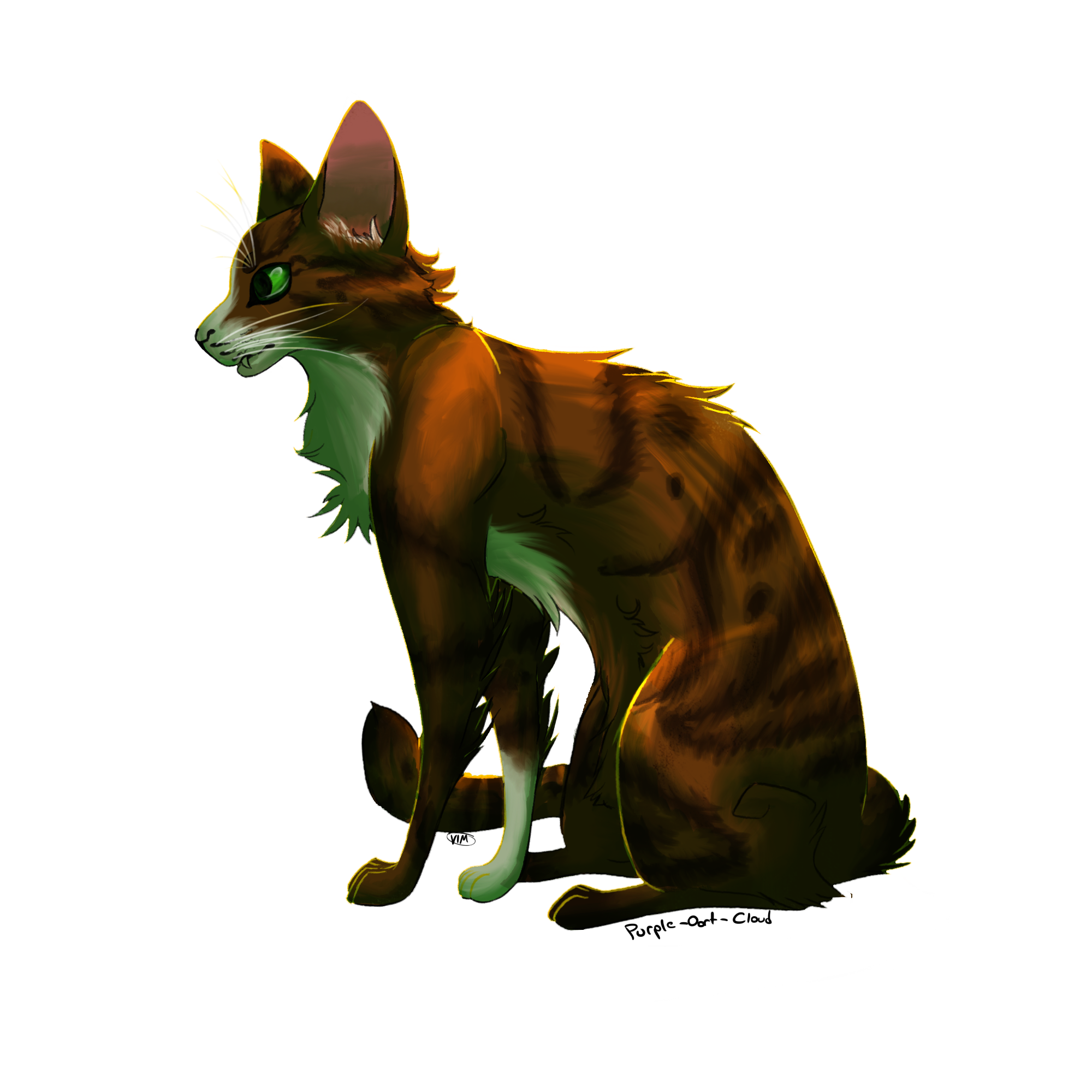 Warriors Collab Beetlewhisker by Purple-Oort-Cloud on DeviantArt