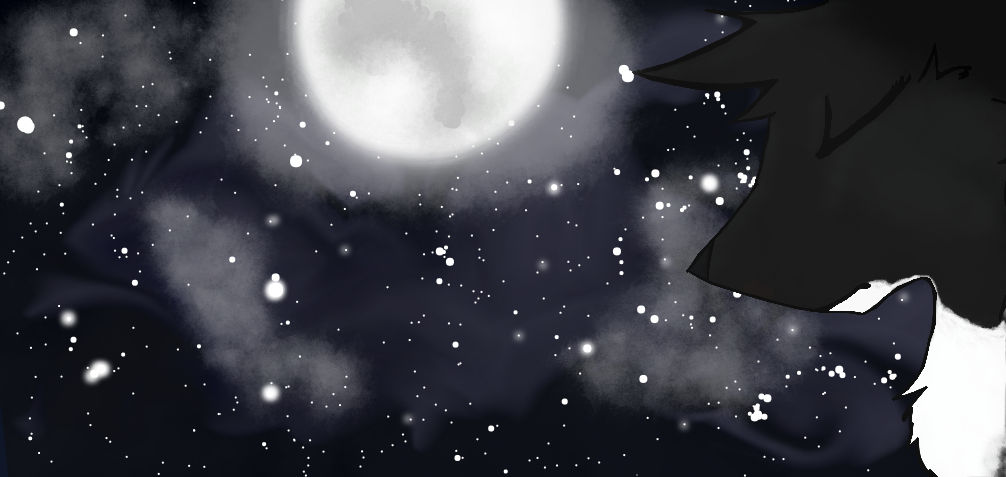 Moonlit Path by BubblyProductions on DeviantArt