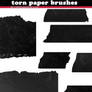 Brush Set: Torn Ancient Paper