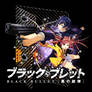 Black Bullet Folder Icon