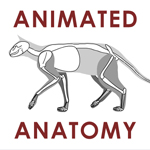 Cat Tutorial - Walking, Side by PerianArdocyl on DeviantArt