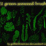 21 green seaweed brushes