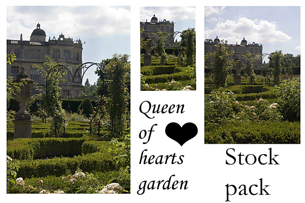 Queen of hearts garden - stock