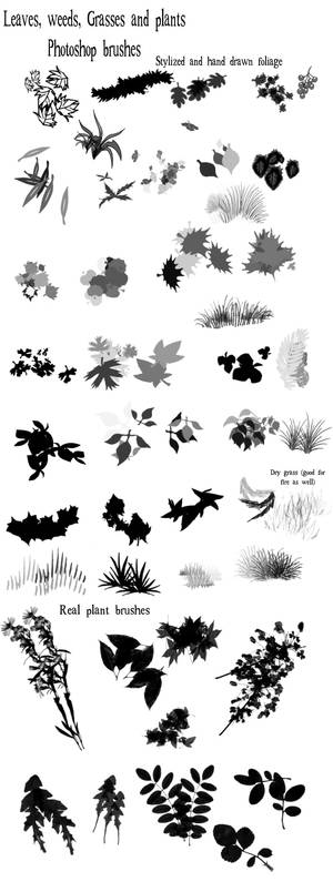 Leaves and grass brushes
