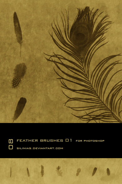 Feather Brushes PS - 01