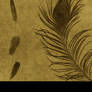 Feather Brushes PS - 01