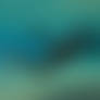 2bce4835-0be2-48d9-9644-759d4004965c-2