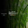 Media Center Bamboo Skin