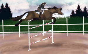 OTTB makeover trial 3