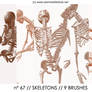 PHOTOSHOP BRUSHES : skeletons