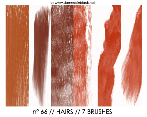 PHOTOSHOP BRUSHES : hairs