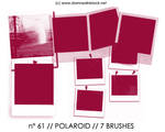 PHOTOSHOP BRUSHES : polaroid