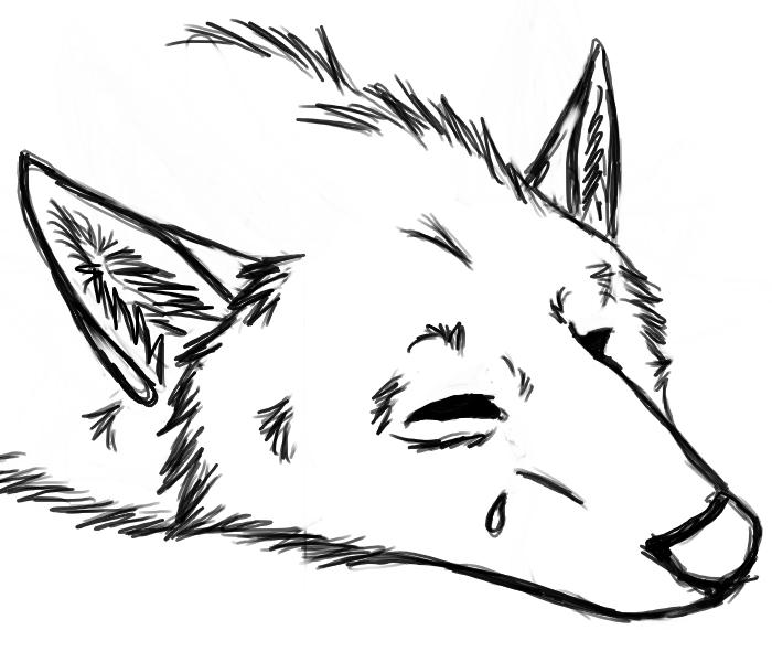 Crying wolf by AoiroShakou on DeviantArt