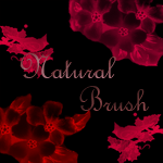 Natural Brush