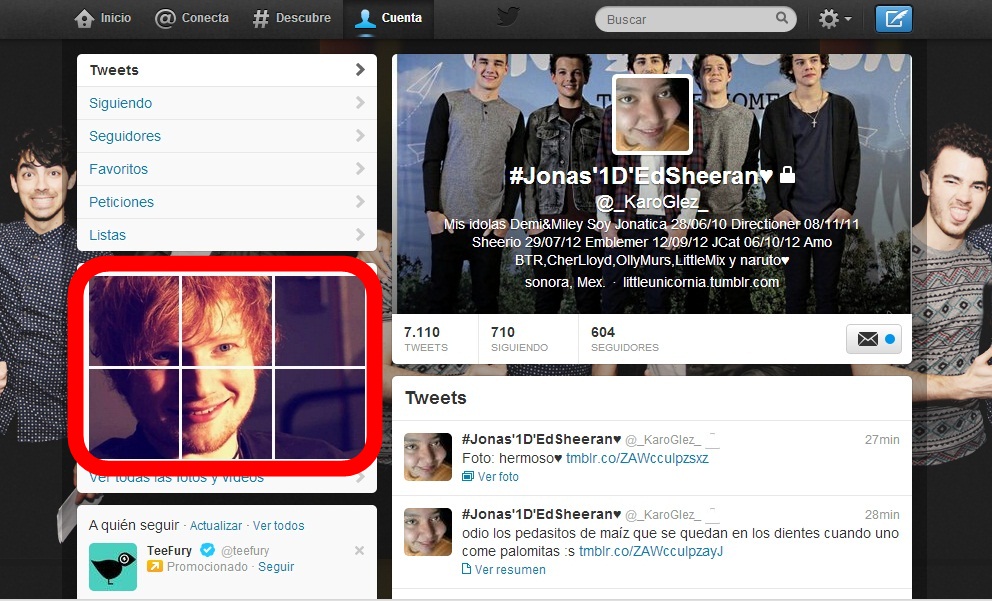 Banner para twitter Ed Sheeran 2