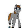 Little Girl Into a Pony 5