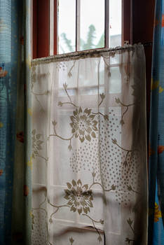 Window Curtain - HDR
