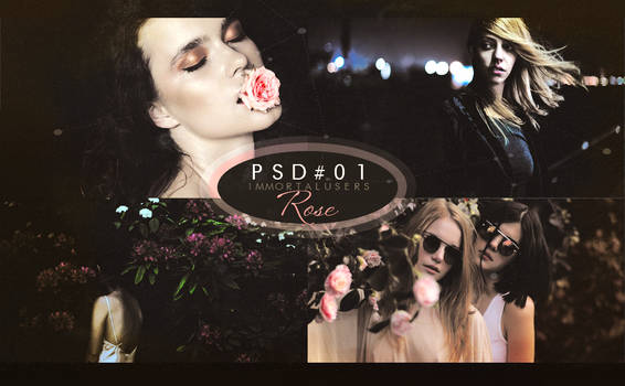 Rose PSD#01