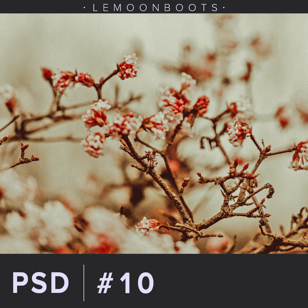 PSD #10 by LemoonBoots on DeviantArt