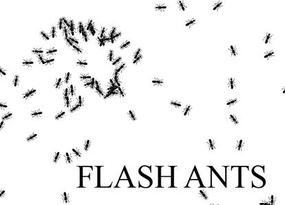 Flash Ants