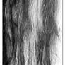 brushes 00000006