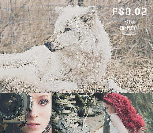 .PSD #02