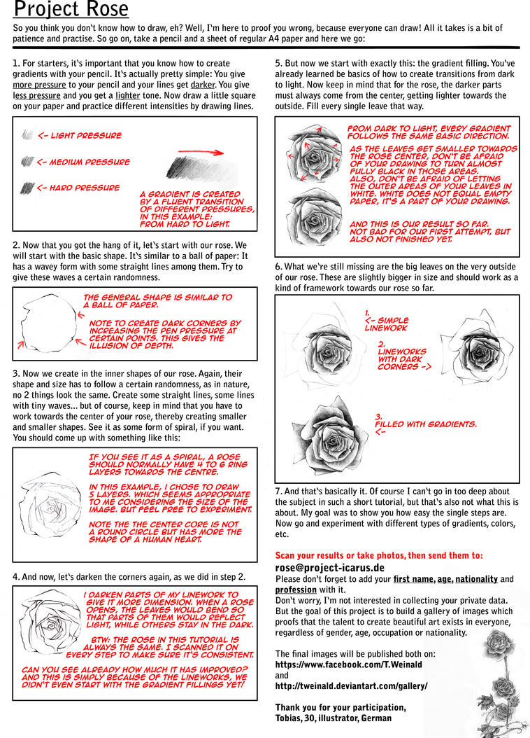 Rose Tutorial - English Version by TobiasWeinald on DeviantArt