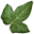 Leaf icon