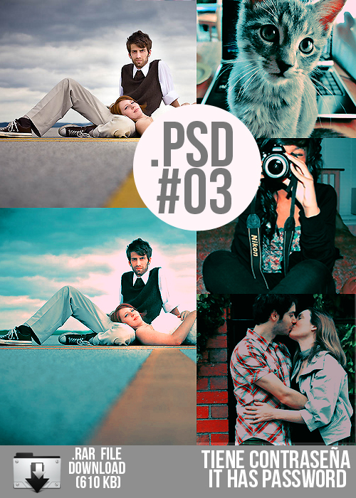 PSD 03