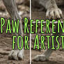 Paw References for Artists