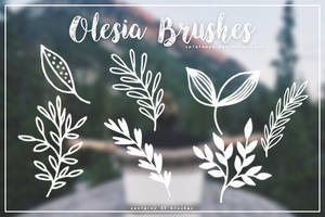 Olesia Brushes