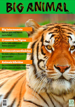 Revista Big Animal