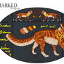 Sunstar of Thunderclan | NEW APP