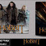 The Hobbit The Desolation of Smaug 2013 foldericon