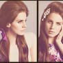 Lana Del Rey PSD #3