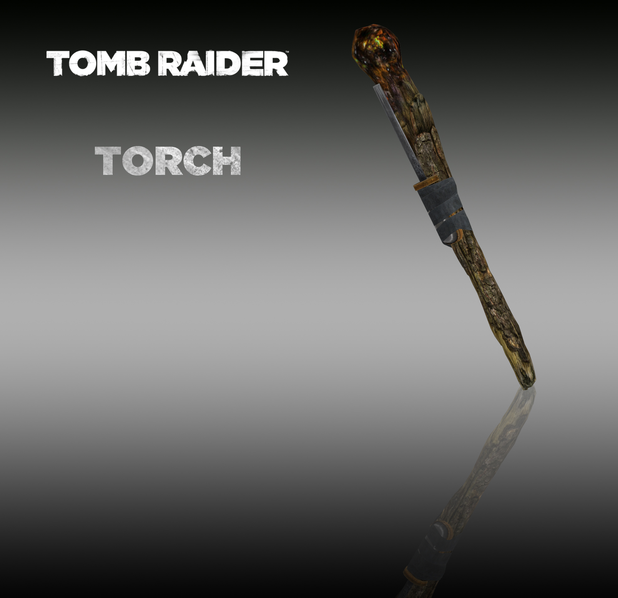 TOMB RAIDER: Torch