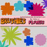 Brushes Flowers 001