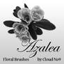 Floral Brushes - Azalea