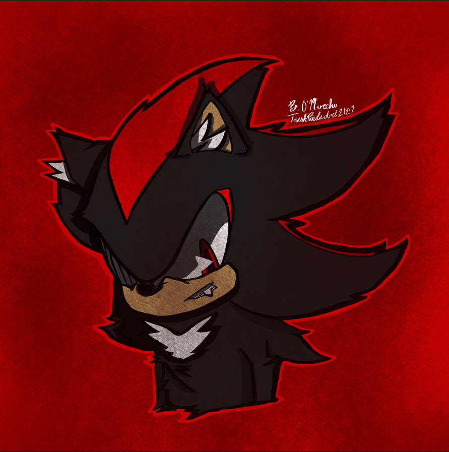 Shadow the Hedgehog by TrashPandaArt2007 on DeviantArt