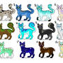 Cat Adopts 12/12 OPEN