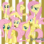 7 Png's Fluttershy