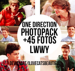 One Direction Photopack LWWY.