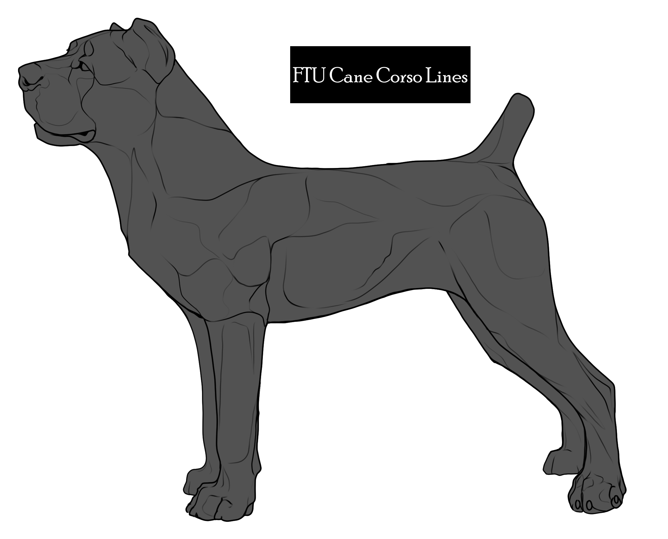 FTU Cane Corso lines by SimplyRusticKennels on DeviantArt