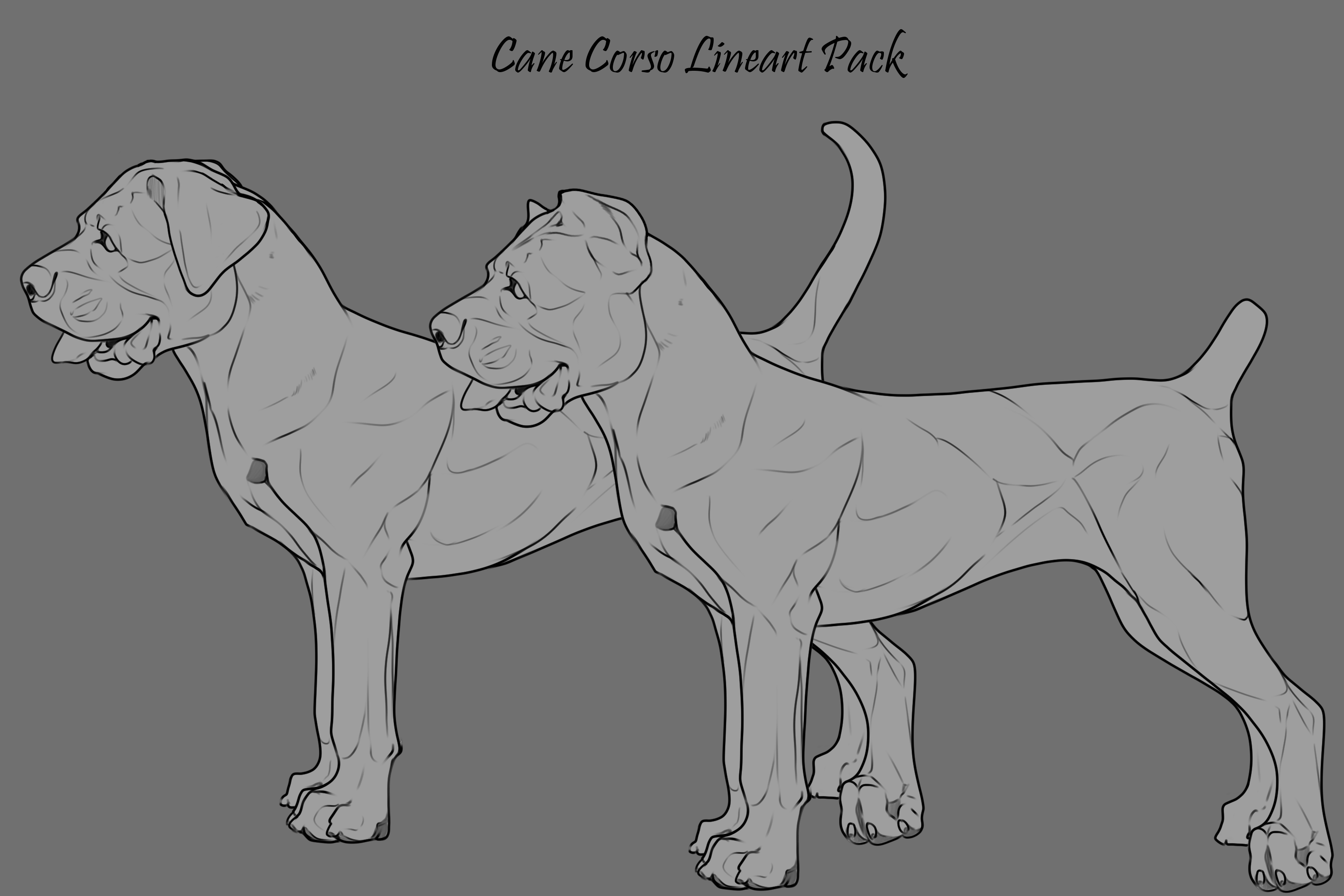Free Cane Corso Lineart Pack by SimplyRusticKennels on DeviantArt
