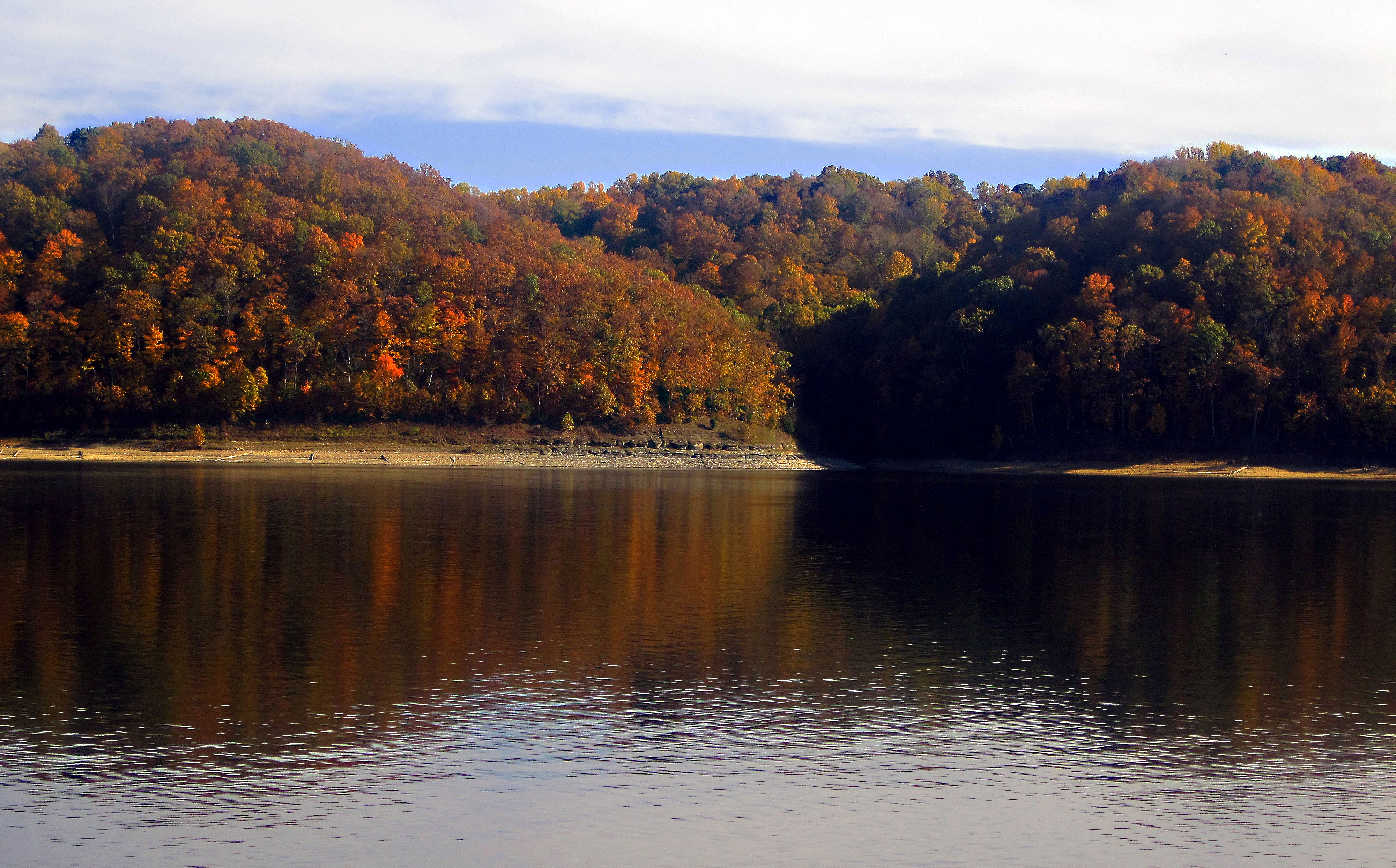 Autumn on the Knobs